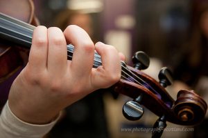 Ther positon of the lefthand on the fiddle fingerboard