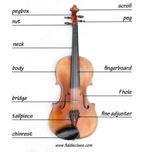A fiddle, showing the main parts labelled