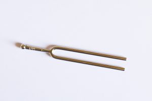A tuning fork